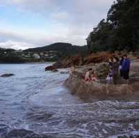 Unique beach in New Zealand