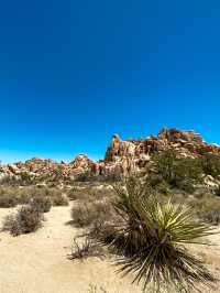 Hidden Valley Nature Trail: A Captivating Hike in Joshua Tree National Park