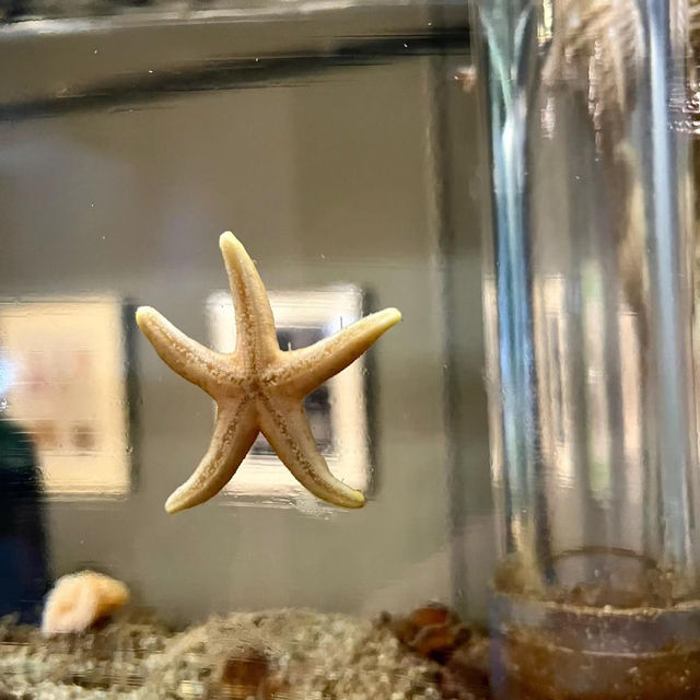 ～下關市立水族館～美麗海洋世界～