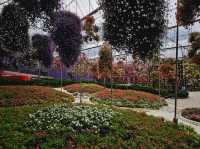 Flowers blooming at Flora Park, Cameron Highlands