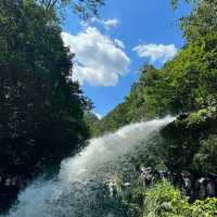 ～中山逍遙谷～靜謐之旅～