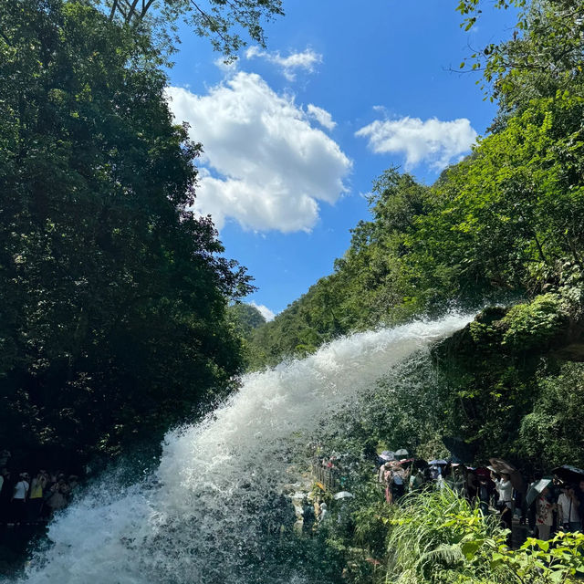 ～中山逍遙谷～靜謐之旅～