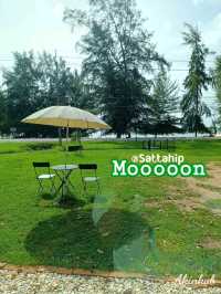 คาเฟ่ลับในค่ายติดทะเล