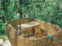 คาเฟ่บนดอยมีกิจกรรม Zipline