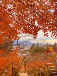 【山梨】富士山見ながら紅葉狩り