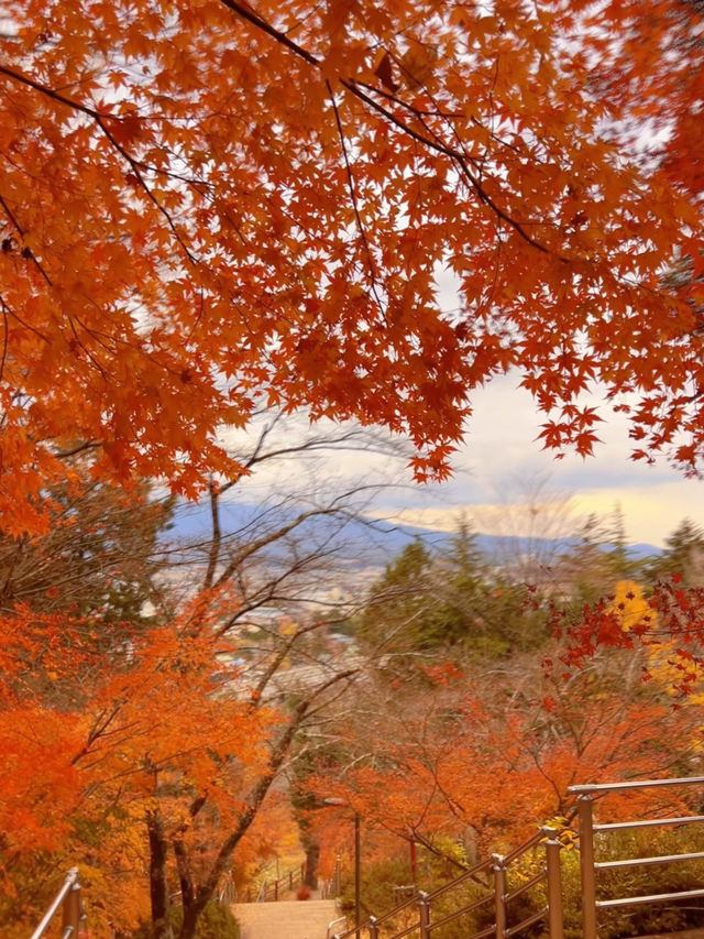 【山梨】富士山見ながら紅葉狩り