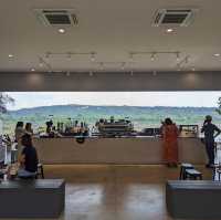 The Memory Cafe - ความทรงจำคาเฟ่
