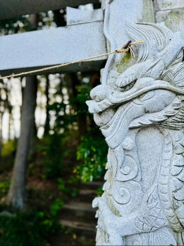 【穴場】鳥居に巻き付く二体の龍が超レアで大迫力❗️辰年を締めくくるご利益を授かれそうなパワスポ神社✨