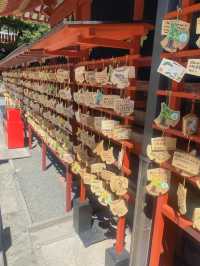 【鎌倉のパワースポット⛩️✨鶴岡八幡宮】