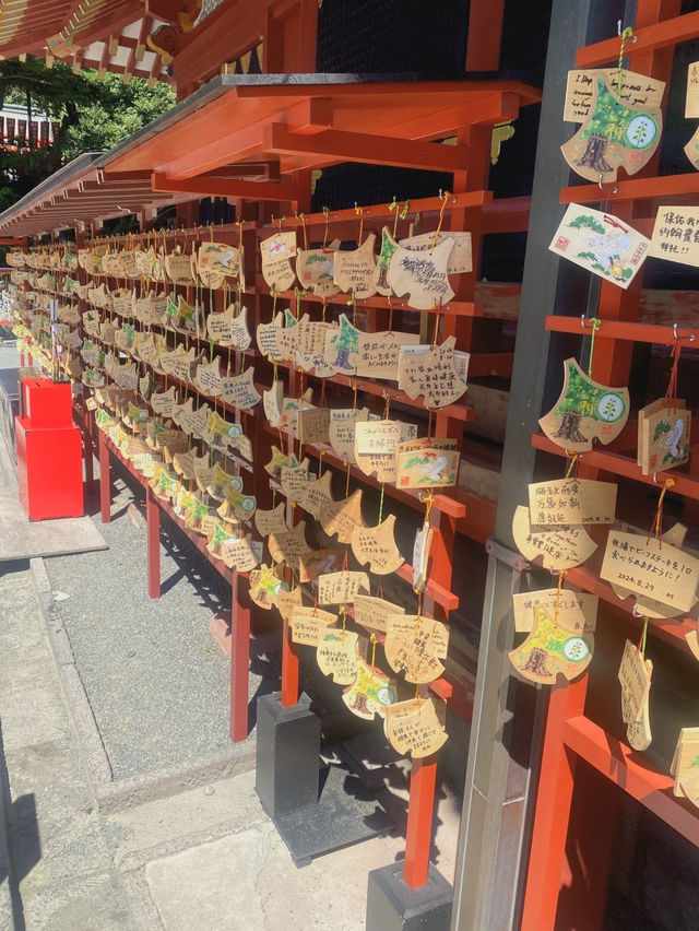 【鎌倉のパワースポット⛩️✨鶴岡八幡宮】