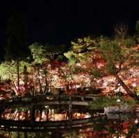 🇯🇵京都東福寺｜火燒通天橋的絕美楓紅