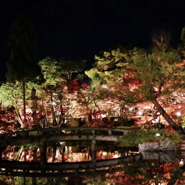 🇯🇵京都東福寺｜火燒通天橋的絕美楓紅