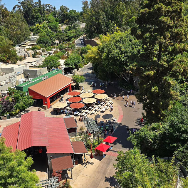 Linton Zoo：動物界的搞笑明星大聚會 🦁🎉