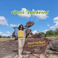 หินเต่าชมจันทร์ - ป่าดงนาทาม อุทยานแห่งชาติผาแต้ม