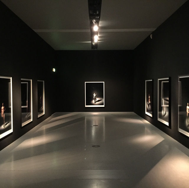 🎨🏛️ 漫步藝術之殿：探訪漢堡的堤壩之門美術館🇩🇪✨
