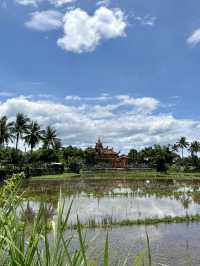 Tuy Hoa: a coastal city 