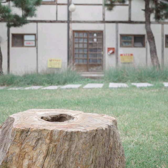 모든 건물이 귀여운 장소