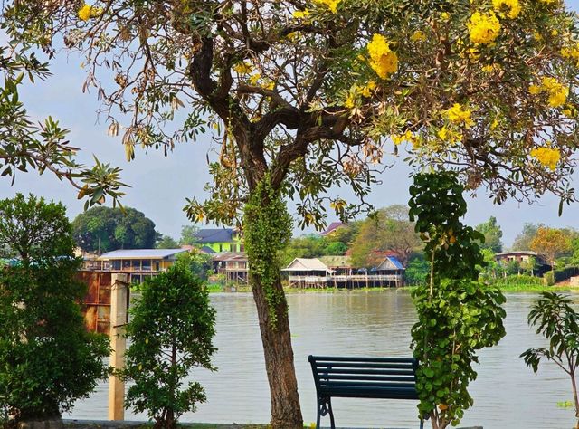 คาเฟ่ใน วัดไทยสไตล์ฝรั่ง นิเวชธรรมประวัติ 