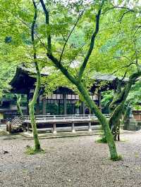 【福井県】敦賀港の眺めが素晴らしい神社