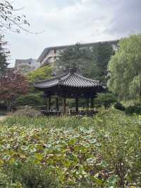 운치있는 경주의 숨은 보물 보문정