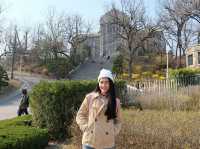 เที่ยวฤดู Spring in Ewha University 🌸