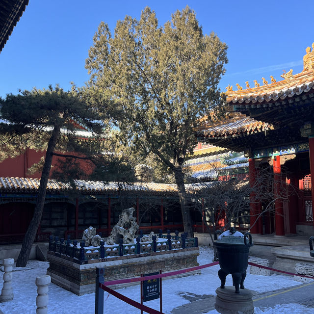 Discovering the Forbidden City: A Joyful Winter Journey Through Beijing’s Ancient Treasure