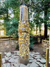 【栃木県】金色のもぐらで金運万来