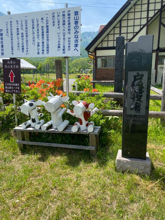 【戸隠】戸隠にある最強牧場🐮🔥
