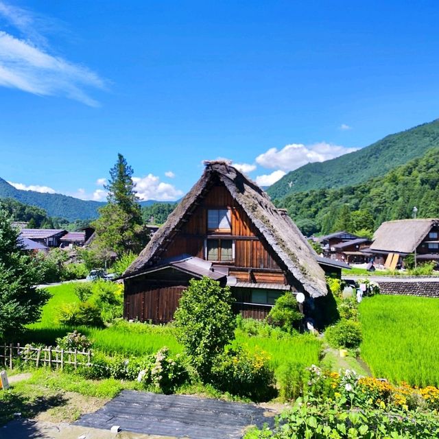 Shirakawago in Summer