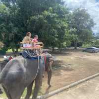 Elephant world