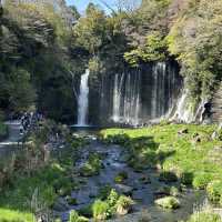 น้ำตกชิราอิโตะ (Shiraito Falls)