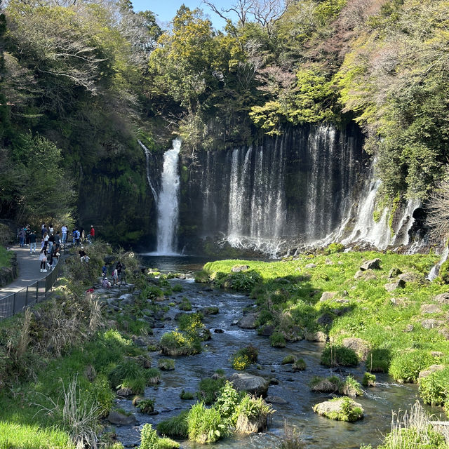 น้ำตกชิราอิโตะ (Shiraito Falls)