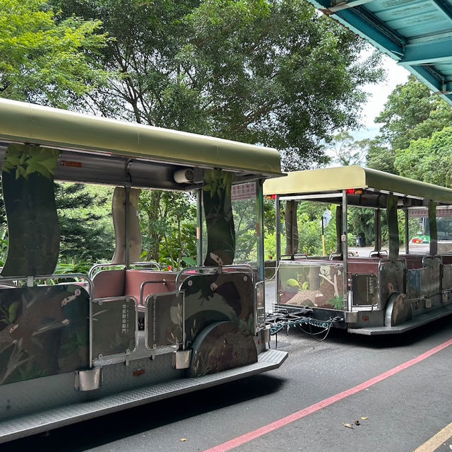 台灣最大的動物園 — 臺北市立動物園🐾