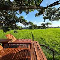 ที่พักเชียงใหม่กลางทุ่งนา 🏡🌾