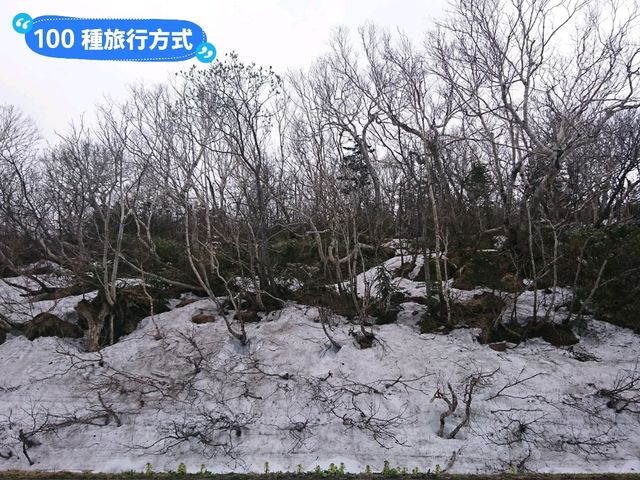 北海道道東自駕遊，8天7夜行程景點分享