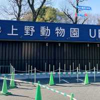 動物園系列（一）～上野動物園