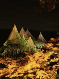 【石川】年間でのライトアップもおすすめは秋🍂週末限定の様子を紹介✨