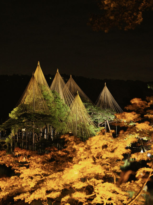 【石川】年間でのライトアップもおすすめは秋🍂週末限定の様子を紹介✨