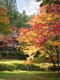 【ここ行って】本当は教えたくない🙅カメラ好きは一度は行きたい紅葉🍁