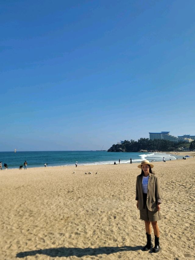 동해여행코스로 추천하는 추암해변💜