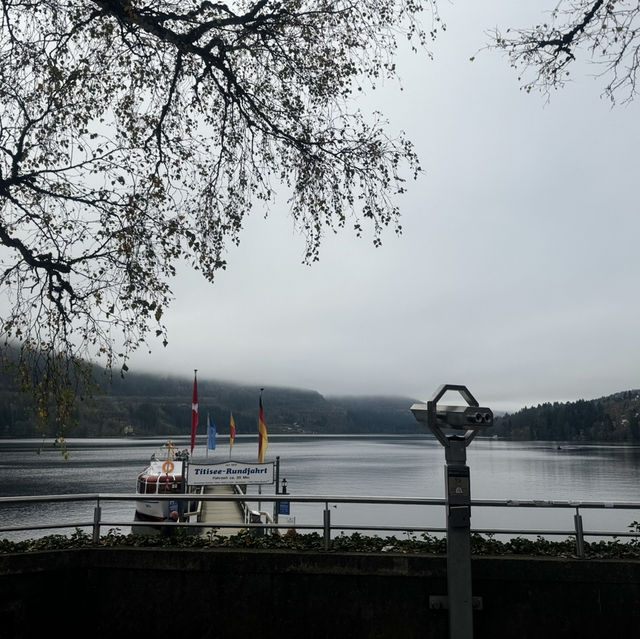 “Exploring Germany’s Black Forest: Nature’s Enchanted Wonderland”