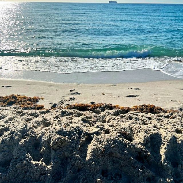 MESMERISING MIAMI BEACH ⛱️.