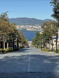 【食欲の秋🍂満喫】秋の函館旅行で絶対外せない満足スポット９選！