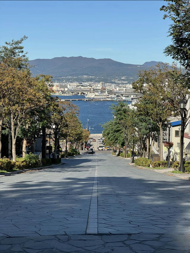 【食欲の秋🍂満喫】秋の函館旅行で絶対外せない満足スポット９選！