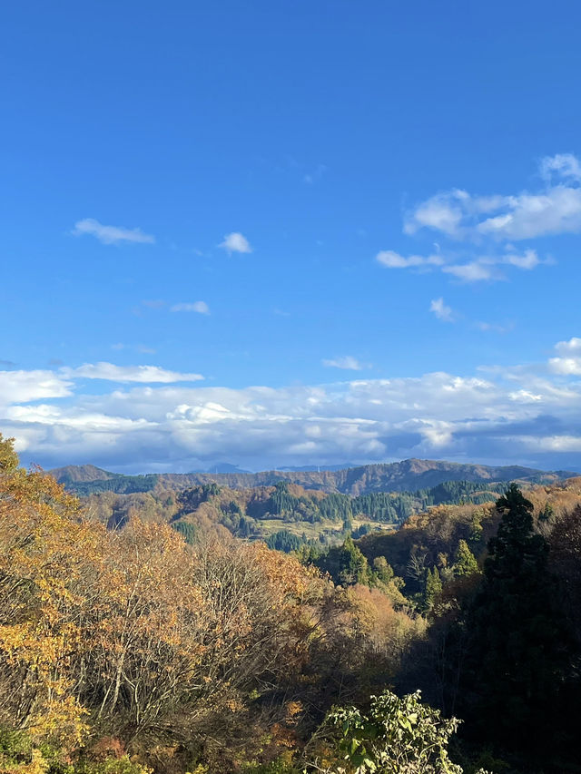 【新潟×日本の絶景】  大小様々な棚田が作り出す光景  運よければ雲海も・・