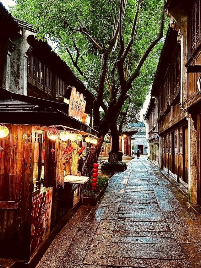 Solo Sojourn in Serene Wuzhen