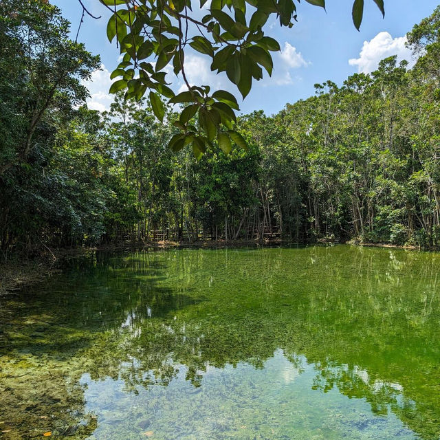 Emerald Pool in Krabi