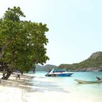 เที่ยวหมู่เกาะอ่างทอง สุราษธานี ⛴️🌊🌴