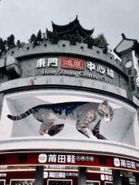 Hello Shenzhen! ตะลุยกิน เล่นกะแมว 😻