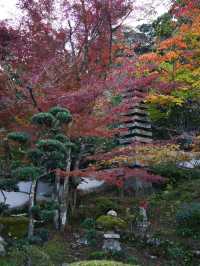 【ここ行って】本当は教えたくない🙅 1400年前建立の穴場紅葉寺院✨